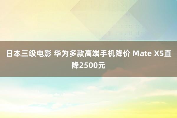 日本三级电影 华为多款高端手机降价 Mate X5直降2500元