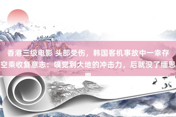 香港三级电影 头部受伤，韩国客机事故中一幸存空乘收复意志：嗅觉到大地的冲击力，后就没了缅思