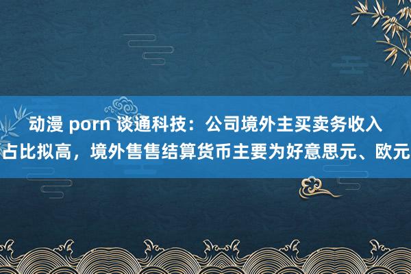 动漫 porn 谈通科技：公司境外主买卖务收入占比拟高，境外售售结算货币主要为好意思元、欧元