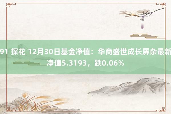 91 探花 12月30日基金净值：华商盛世成长羼杂最新净值5.3193，跌0.06%