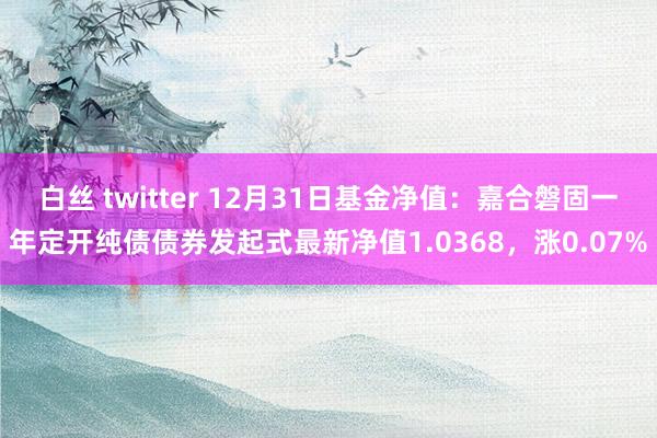 白丝 twitter 12月31日基金净值：嘉合磐固一年定开纯债债券发起式最新净值1.0368，涨0.07%