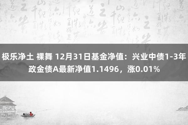 极乐净土 裸舞 12月31日基金净值：兴业中债1-3年政金债A最新净值1.1496，涨0.01%