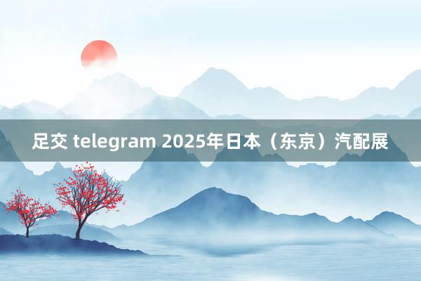 足交 telegram 2025年日本（东京）汽配展