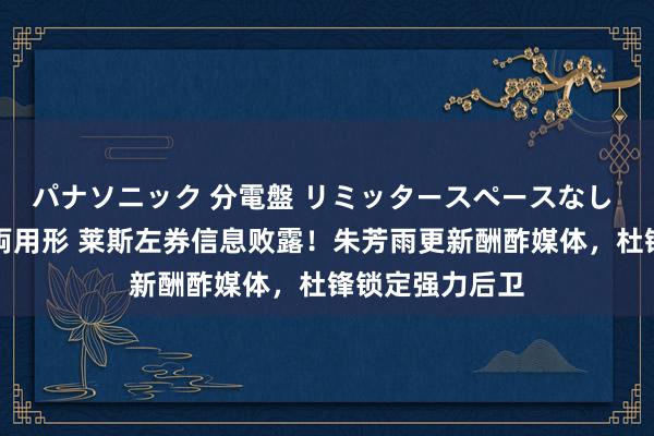 パナソニック 分電盤 リミッタースペースなし 露出・半埋込両用形 莱斯左券信息败露！朱芳雨更新酬酢媒体，杜锋锁定强力后卫