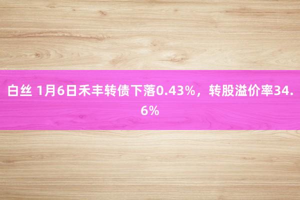 白丝 1月6日禾丰转债下落0.43%，转股溢价率34.6%