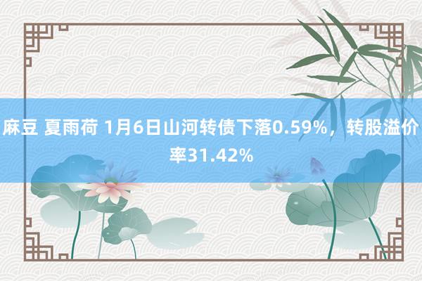 麻豆 夏雨荷 1月6日山河转债下落0.59%，转股溢价率31.42%