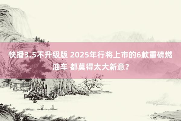 快播3.5不升级版 2025年行将上市的6款重磅燃油车 都莫得太大新意？