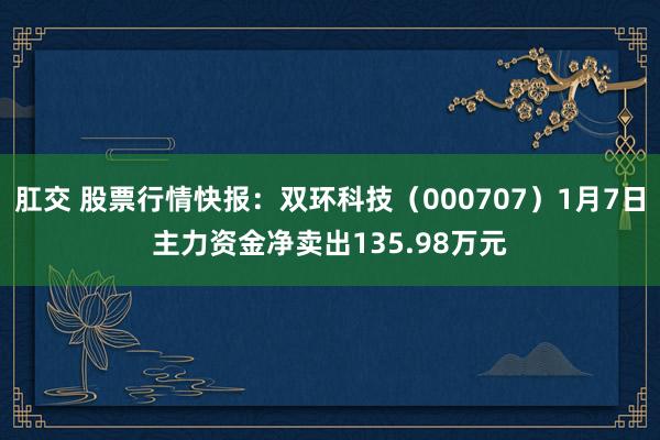 肛交 股票行情快报：双环科技（000707）1月7日主力资金净卖出135.98万元